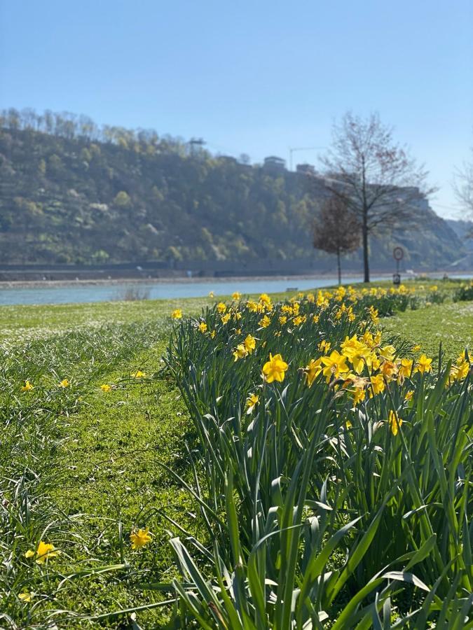 Kusch'Lige Kleine Wohnung Koblenz  Exteriör bild
